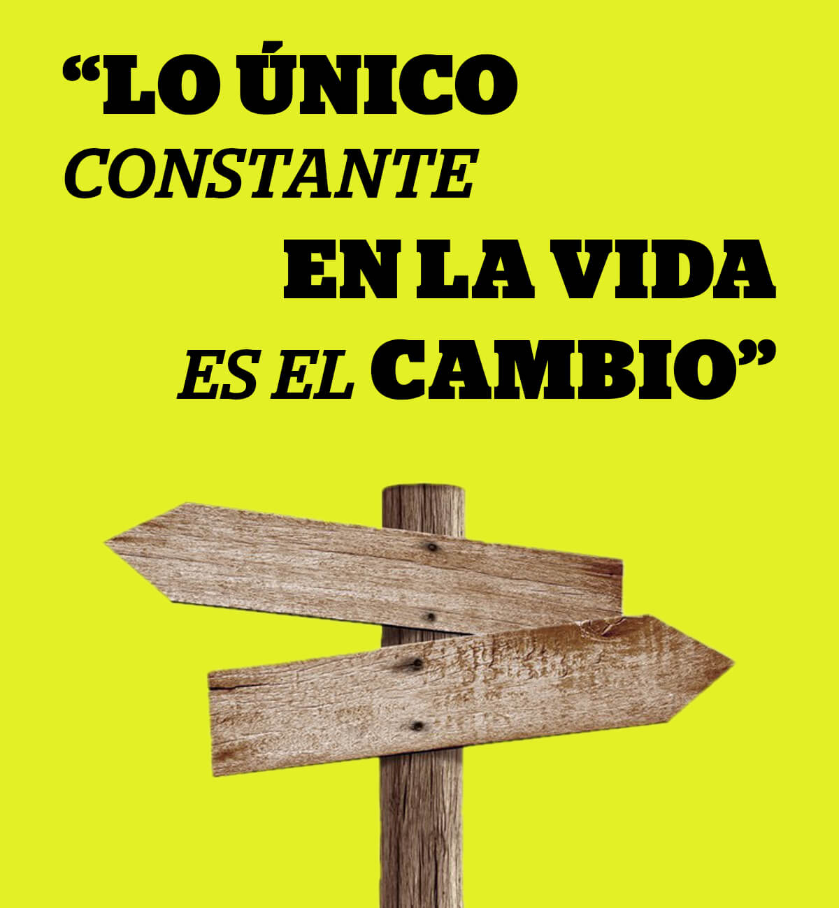 constante-en-la-vida